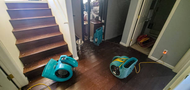Best Local water damage restoration  in Hutchinson, MN