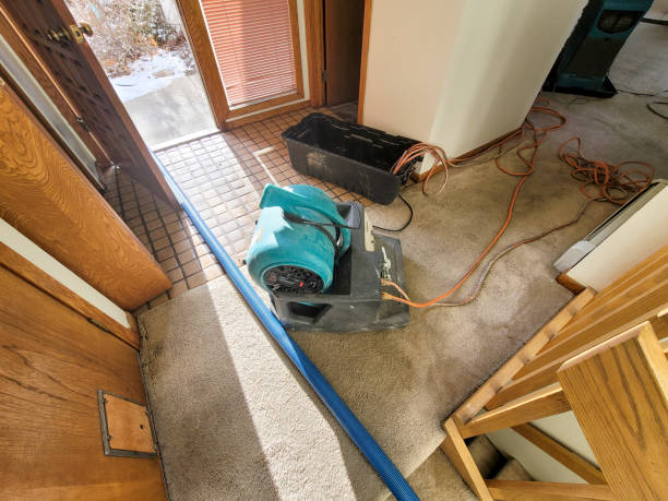 Best Emergency water damage restoration  in Hutchinson, MN