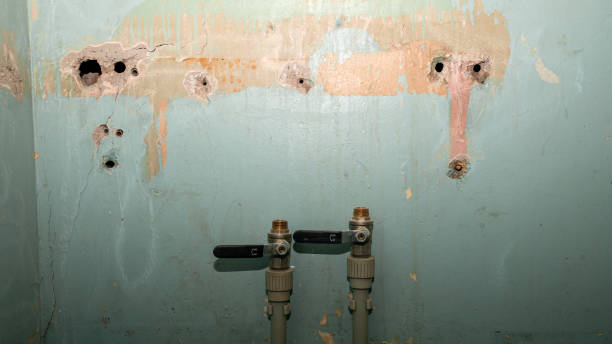 Best 24-hour water damage restoration  in Hutchinson, MN